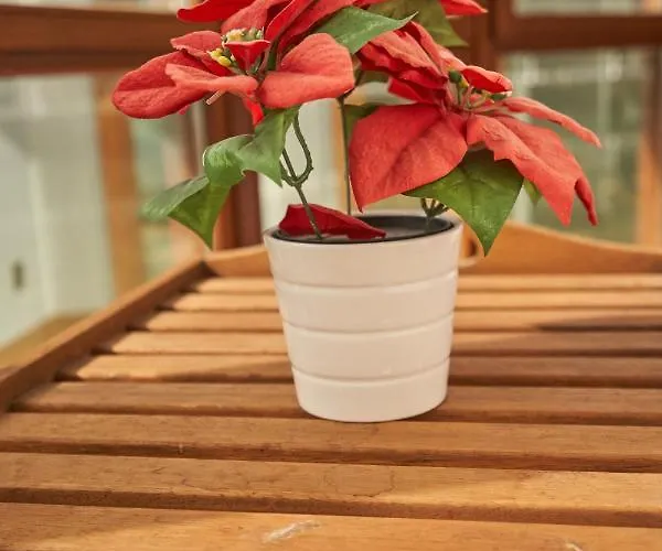 Bio Exclusivo Con Mirador En Y Aparcamiento Publico Gratuito